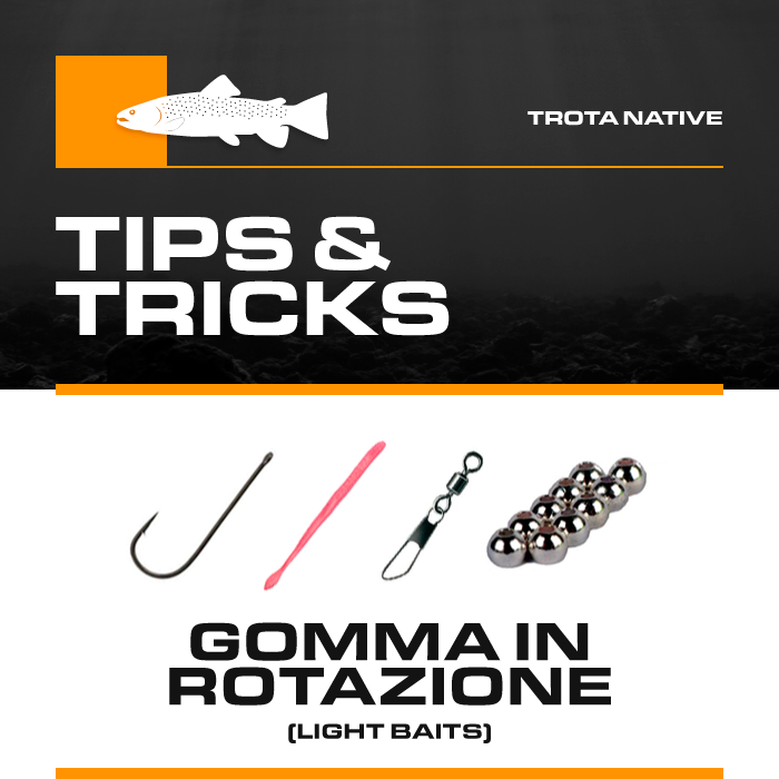 Box Trota Boscolo Sport "Tips & Tricks" Gomma in Rotazione (Light)
