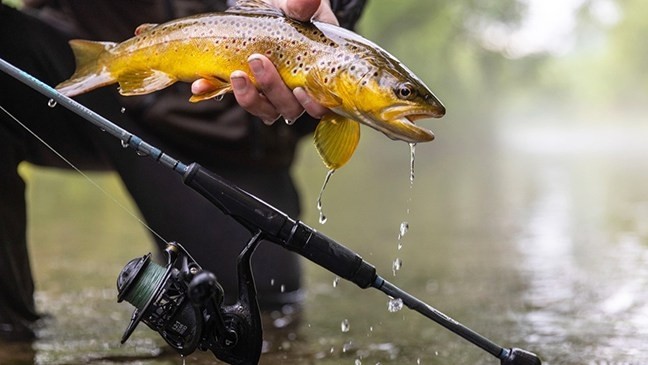 Canna da Viaggio St Croix Trout Pack Spinning