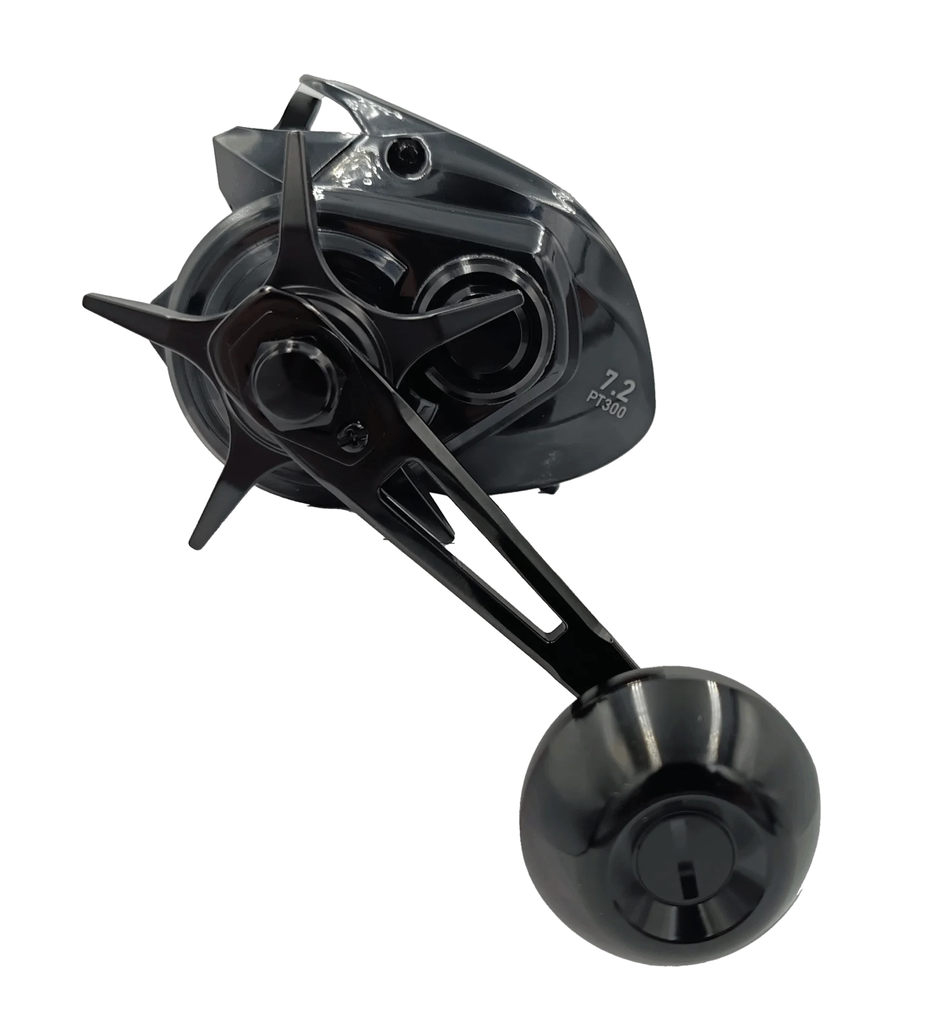 Mulinello Casting Daiwa 25 PT 300HL-ARK