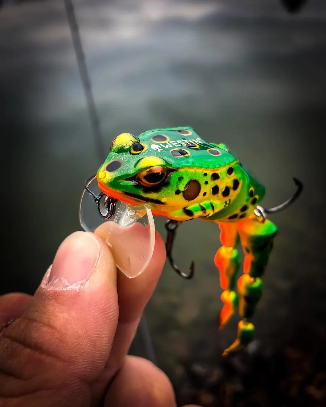 Frog Westin Freddy the Frog Wakebait 9cm 46g F