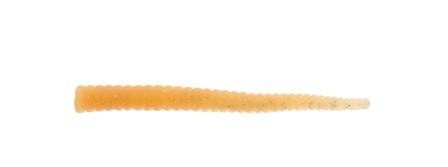 Trout Worm Game By Laboratorio Ciriola Bioillogica 