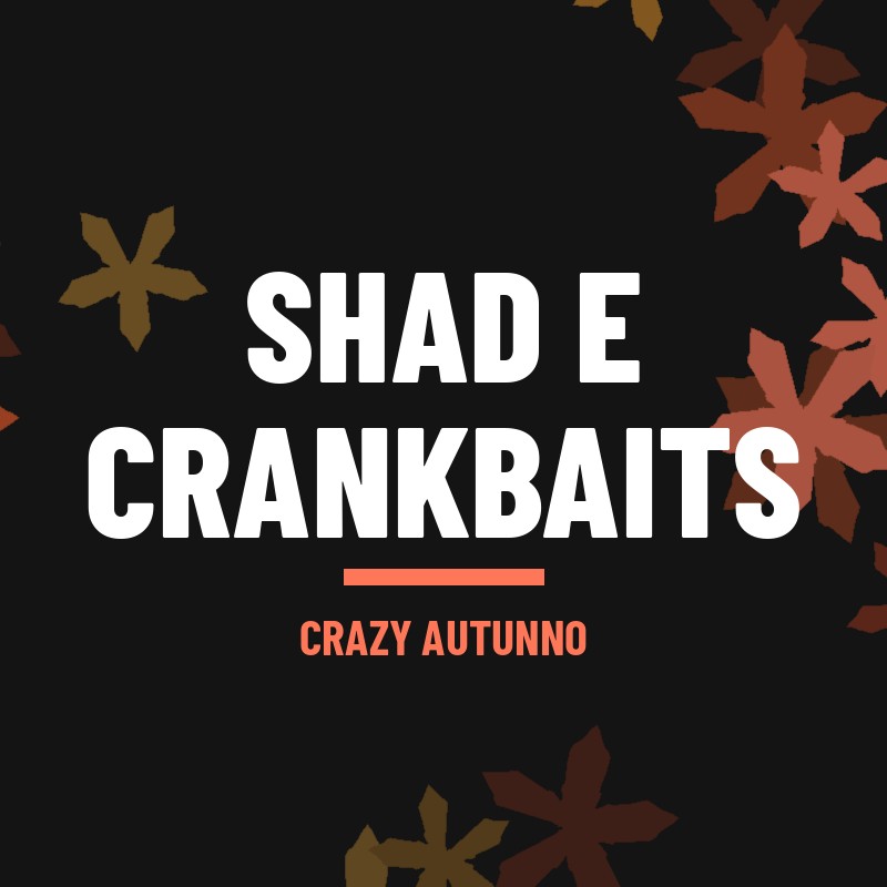 FreshWater > Hardbaits > Shad e Crankbaits