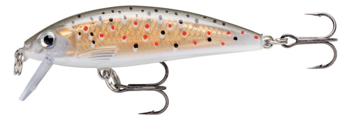 Minnow Rapala X-Rap Countdown 5 cm