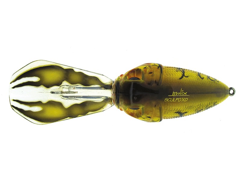 Crankbait Molix Sculpo XD Rattlin'