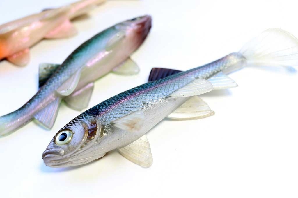 Shad Berkley PowerBait Sick Fish 4" 