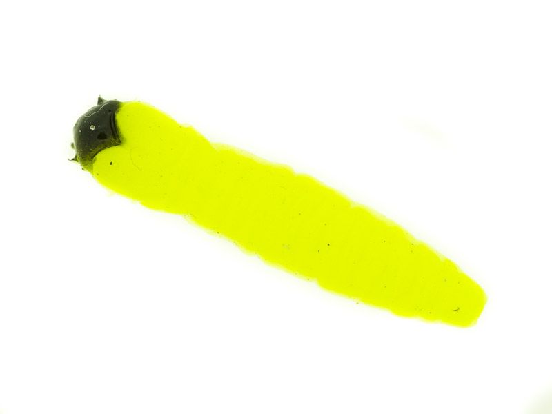 Caimano worm 1,5"  10 pcs col glowing lemon