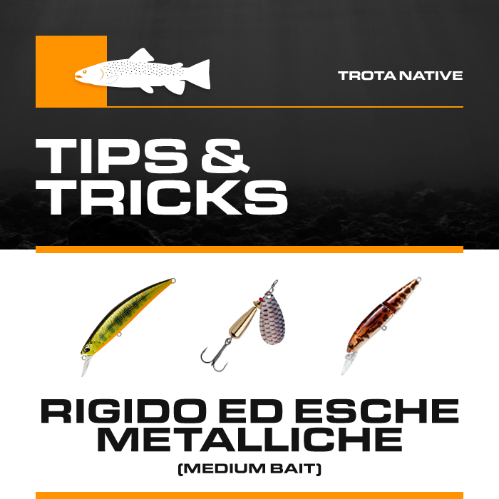 Box Trota Boscolo Sport "Tips & Tricks" Rigido ed Esche Metalliche (Medium Baits)