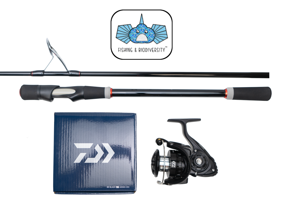 Combo Fishing & Biodiversity Boscolo Sport Molix Outset (Daiwa BG BLACK LT)