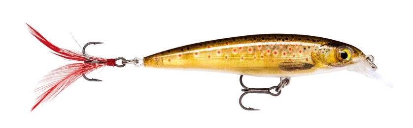 Jerkbait Rapala X-Rap 6 cm