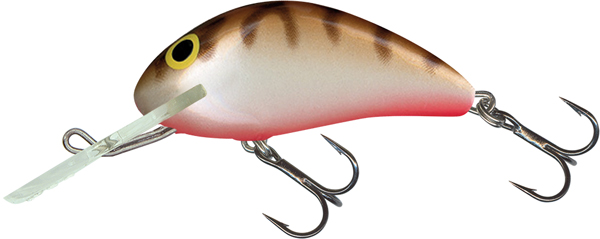Medium Crank Salmo Hornet 4 cm 4 g Sinking
