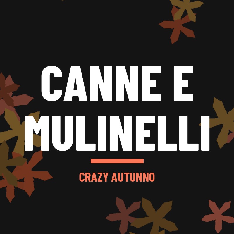 Carpfishing > Canne e mulinelli