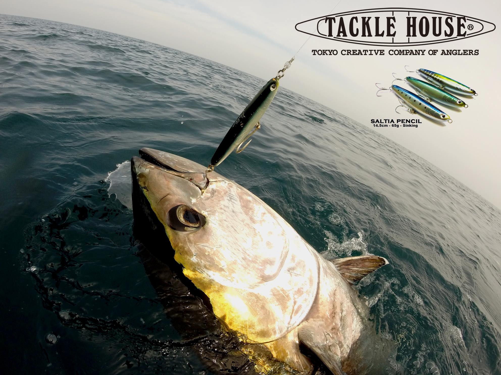 Stickbait Tackle House Contact Canary 145 60gr S