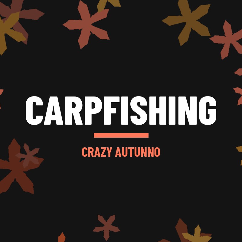 Sotto i 10 euro > Carpfishing