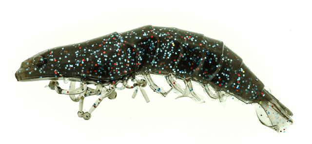 Shrimp 2,5" + wt jig head 4 g.col. Spring craw Shrimp 2,5" + wt jig head 4 g.col. Spring craw