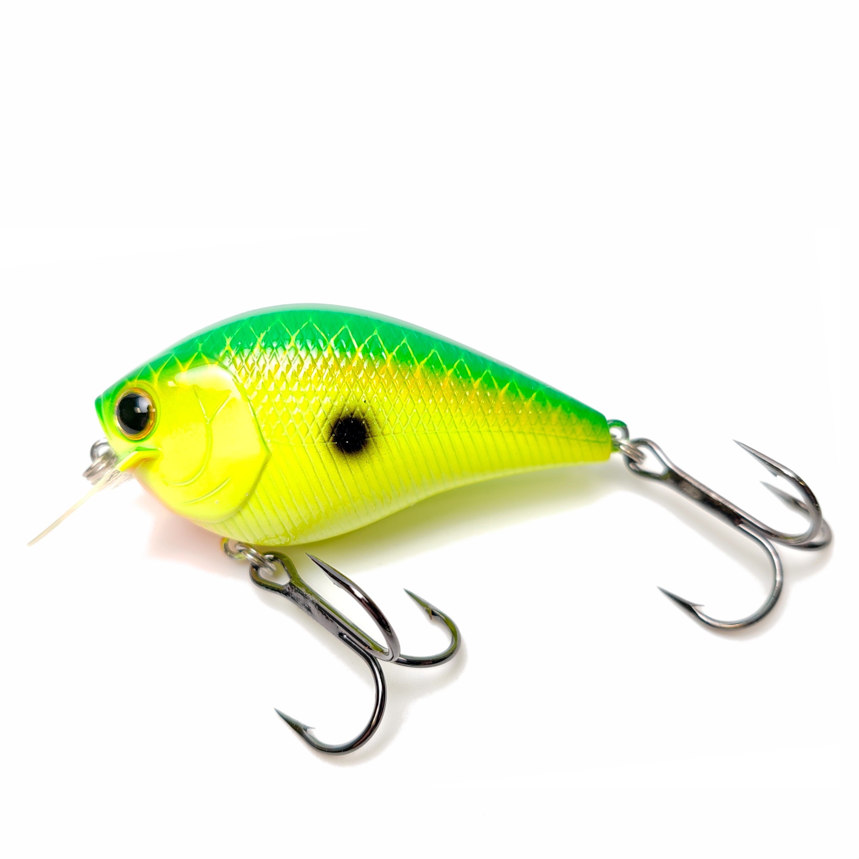 Square Bill Crankbait Lucky Craft Fat CB BDS 2 col. Peacock