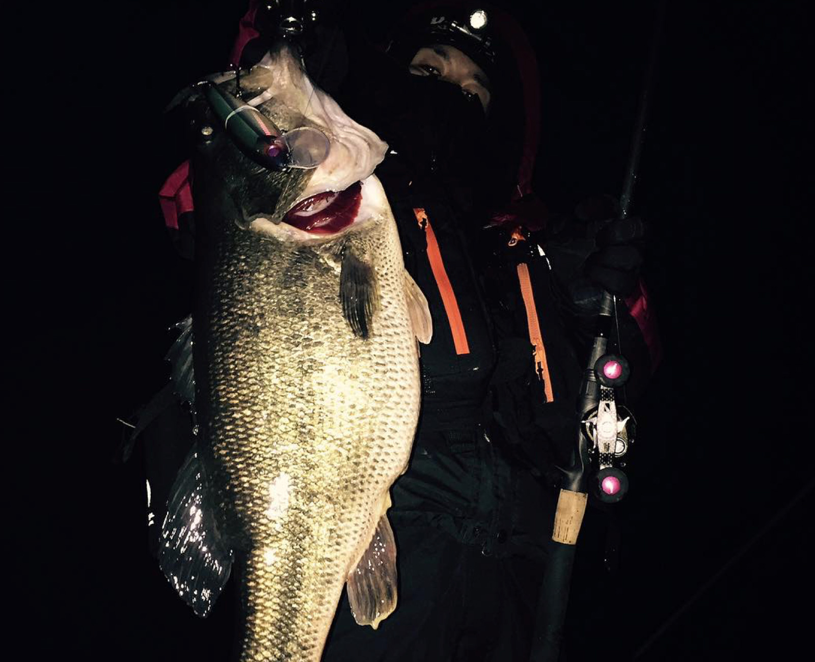 Glidebait Phat Lab Nekosogi DSR