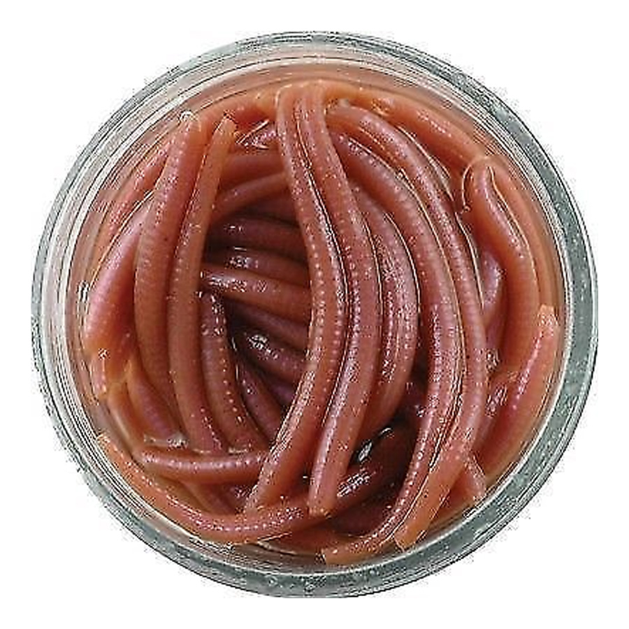 Verme Berkley Gulp Mini Earthworm 2.5 cm col. Natural 79