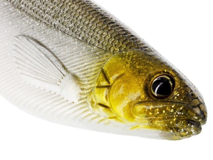 Shad Westin ShadTeez 16cm 39g