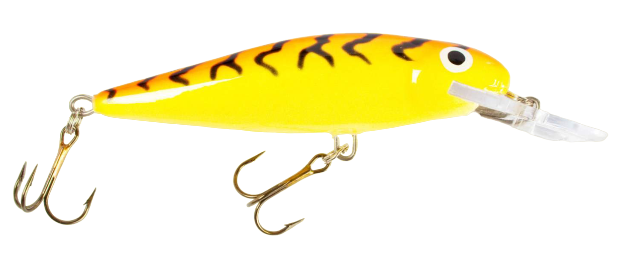 Minnow Salmo Roach 9 cm 16 g Floating col. FT