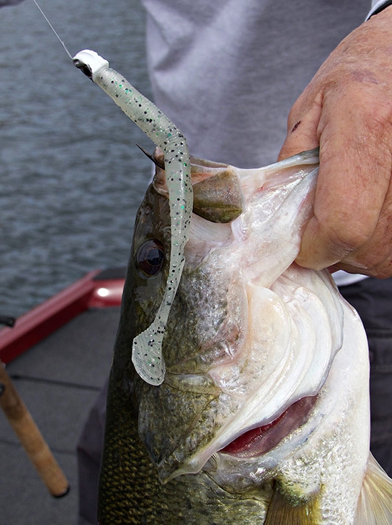 Shad Tail Worm Gary Yamamoto Swimsenko 5”