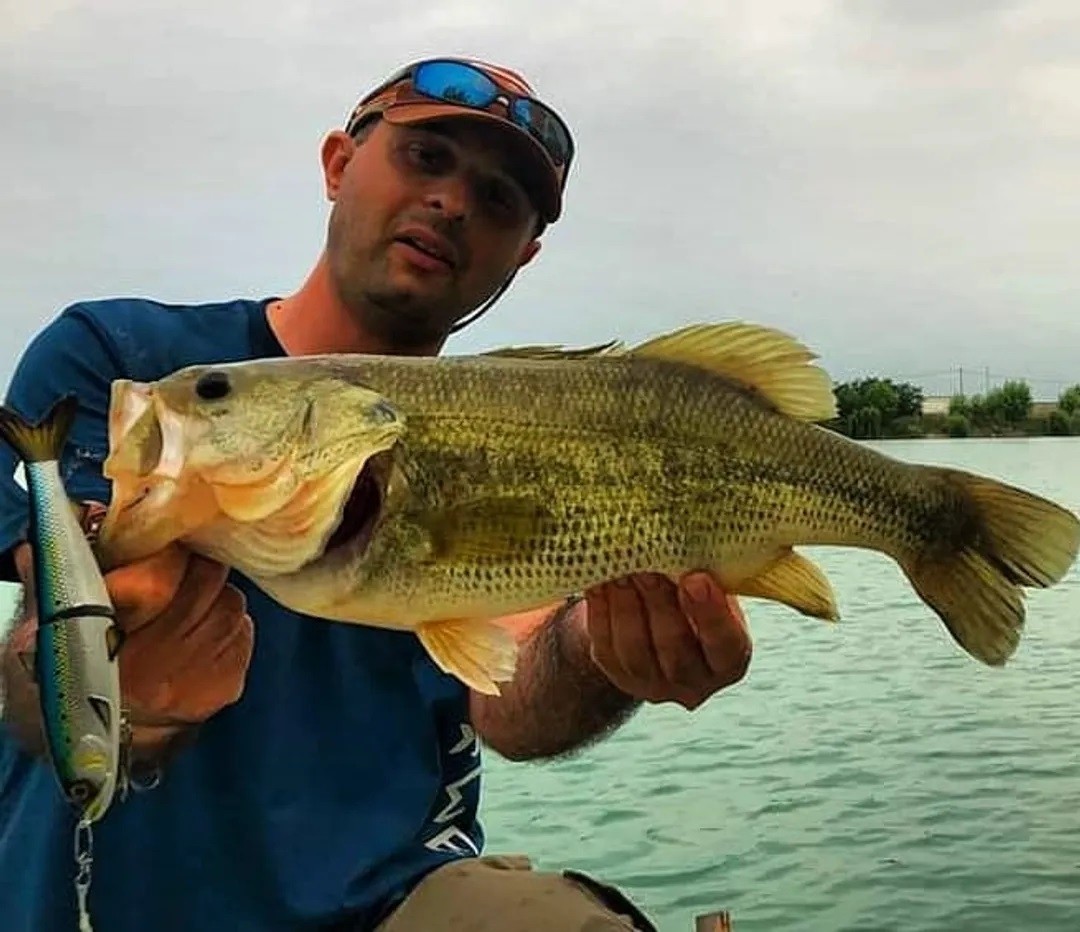 Swimbait Westin HypoTeez Glidebait 18cm 44g SP