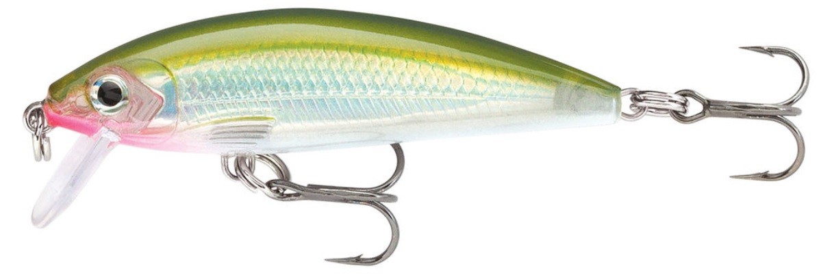 Minnow Rapala X-Rap Countdown 5 cm