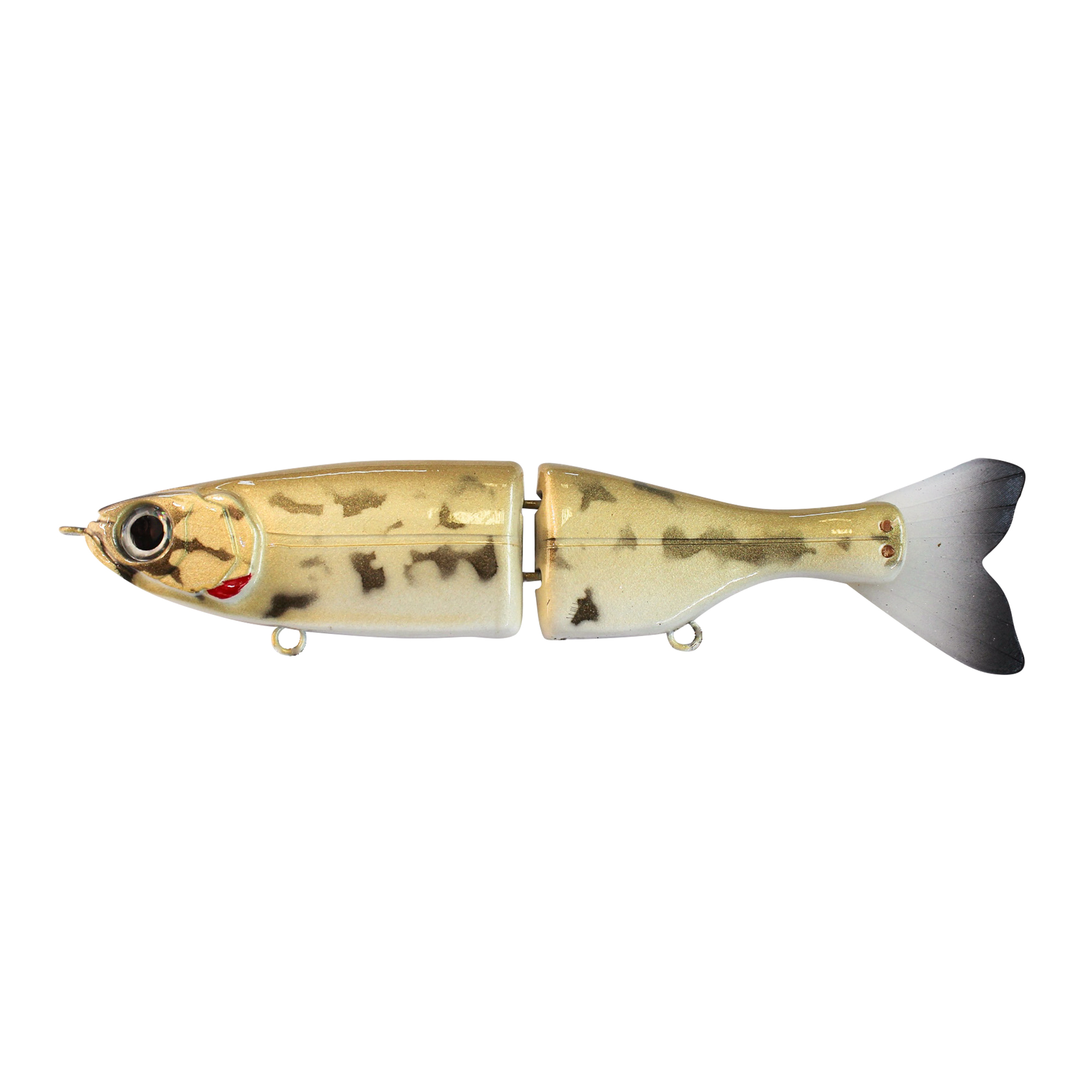 Swimbait Veeu Burno 160 Glide Floating col. Baby Bass
