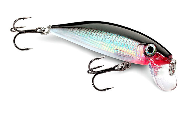Minnow Rapala X-Rap Countdown 5 cm