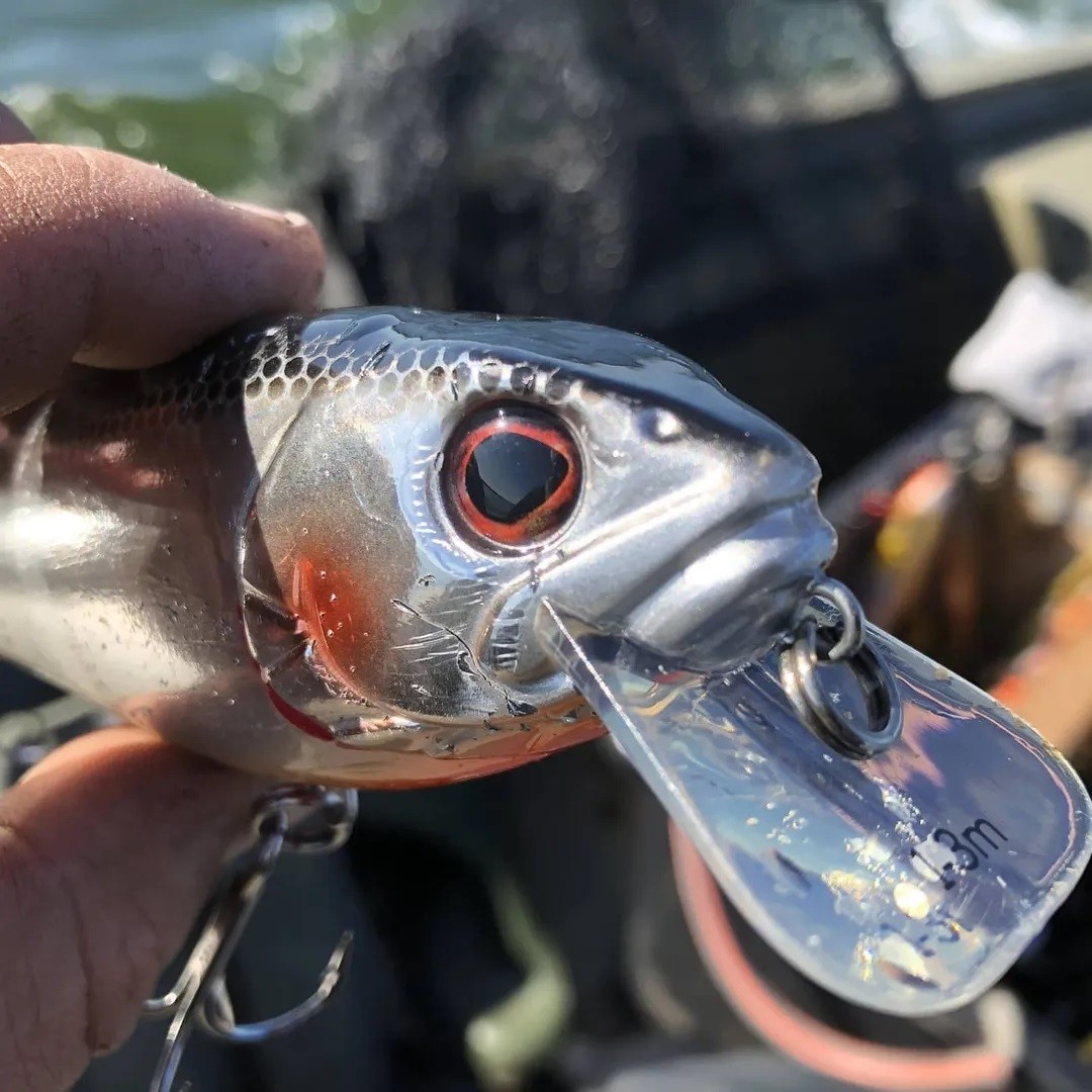 Artificiale Westin RawBite Crankbait 17cm 100g LF