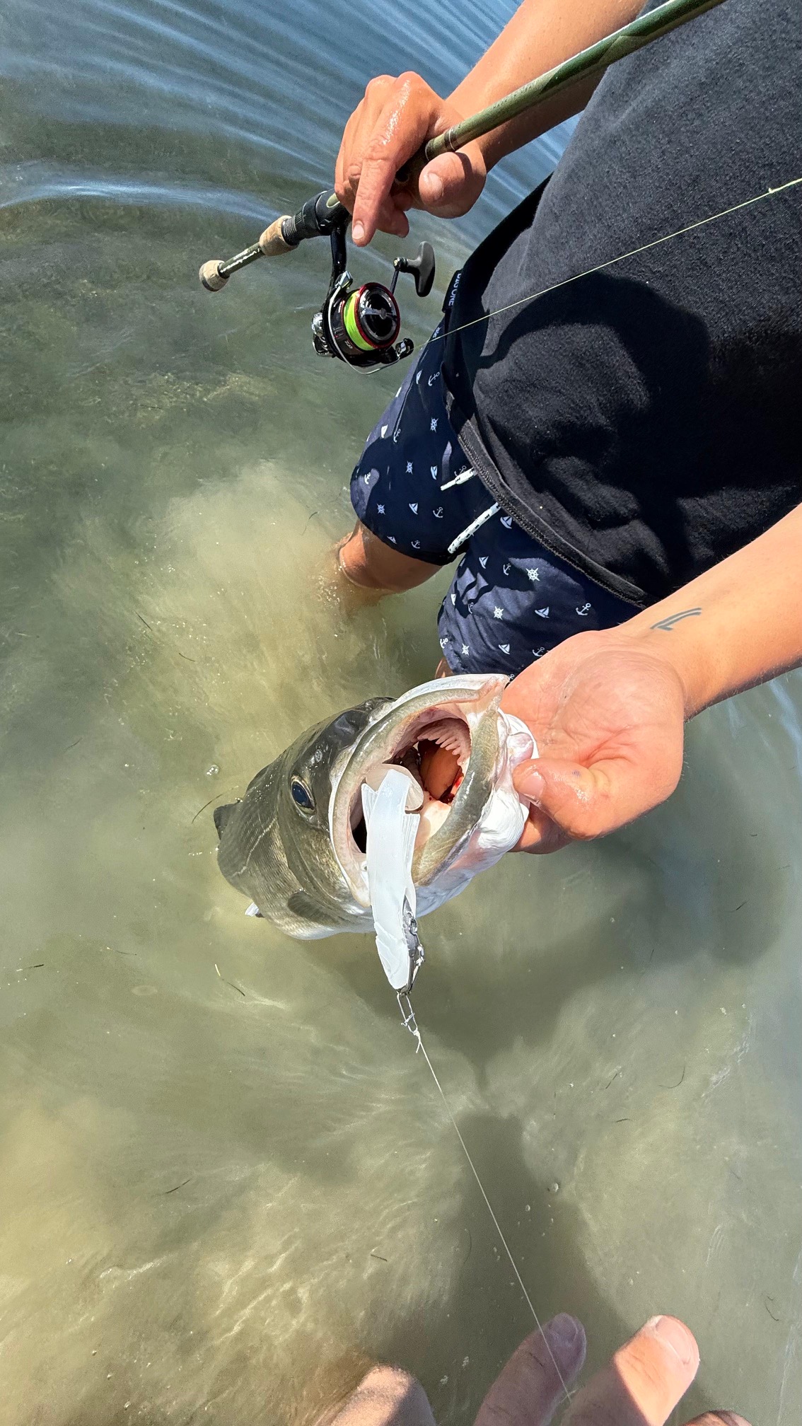 Soft Swimbait Veeu Snack Burno 12 cm
