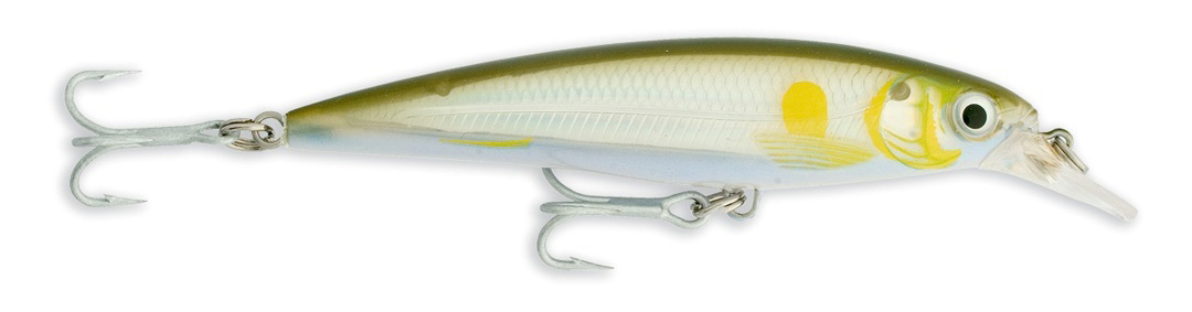 Jerkbait Rapala X-Rap Saltwater 10cm col. Ayu – SXR10-AYU Jerkbait Rapala X-Rap Saltwater 10cm col. Ayu – SXR10-AYU