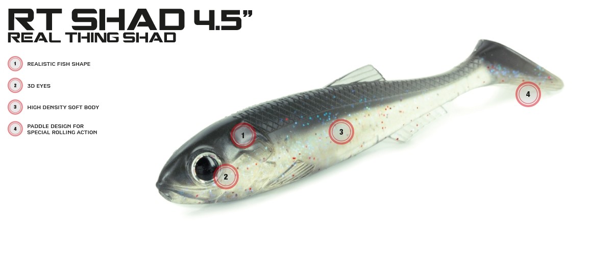 Artificiale Molix Real Things RT Shad 4,5”