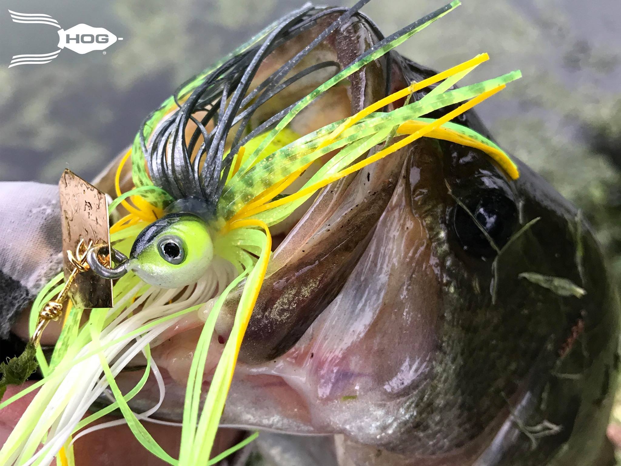 Wirebaits Z-Man Project Z Chatterbait 1/2 oz (14 gr)