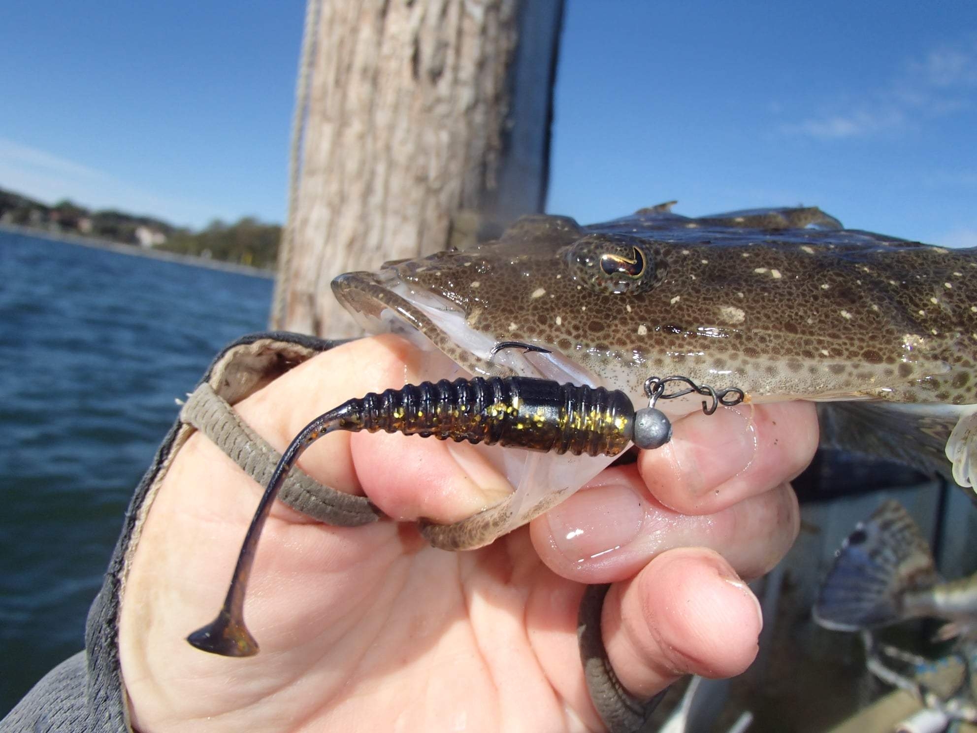 Paddletail Damiki Squash Shad 2”