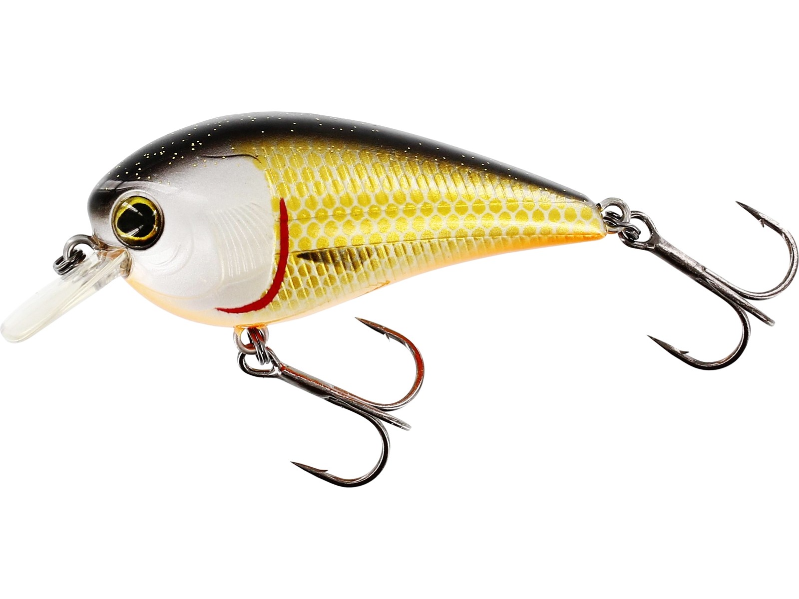 Crankbait Westin BassBite 2.5 Squarebill 7cm 16g F col. Offcl Roach