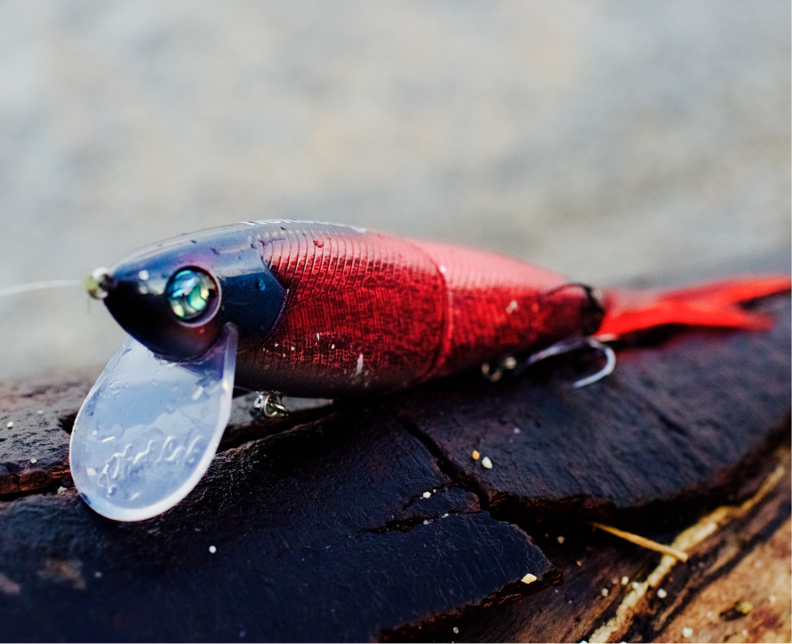 Glidebait Phat Lab Nekosogi DSR