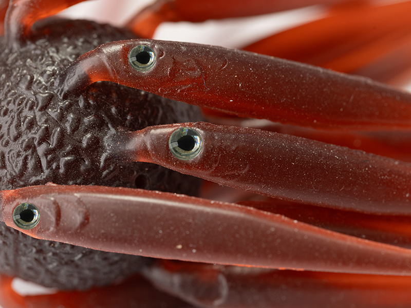 Softbait Hideup Coike Fish L Elastomer