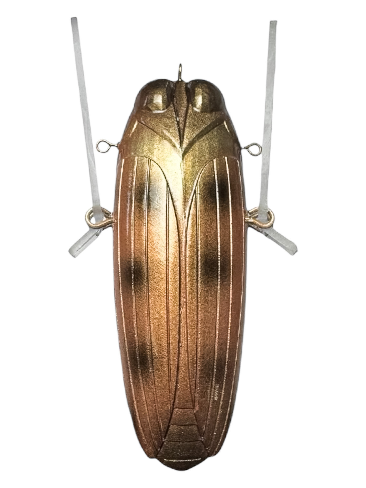 Crawler Veeu Blat Crawler col. Insect Brown