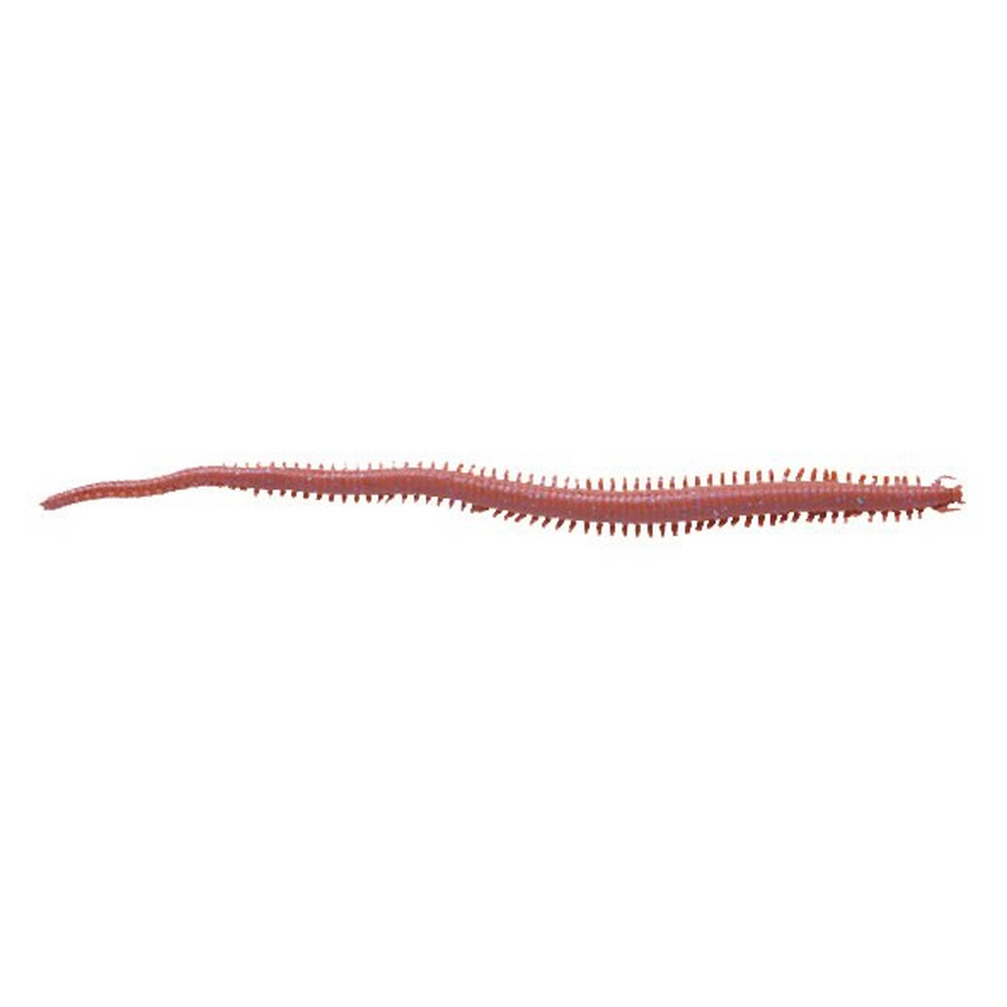 Verme Berkley Gulp! Sandworm 6” (Nereis) col. Dark Brown