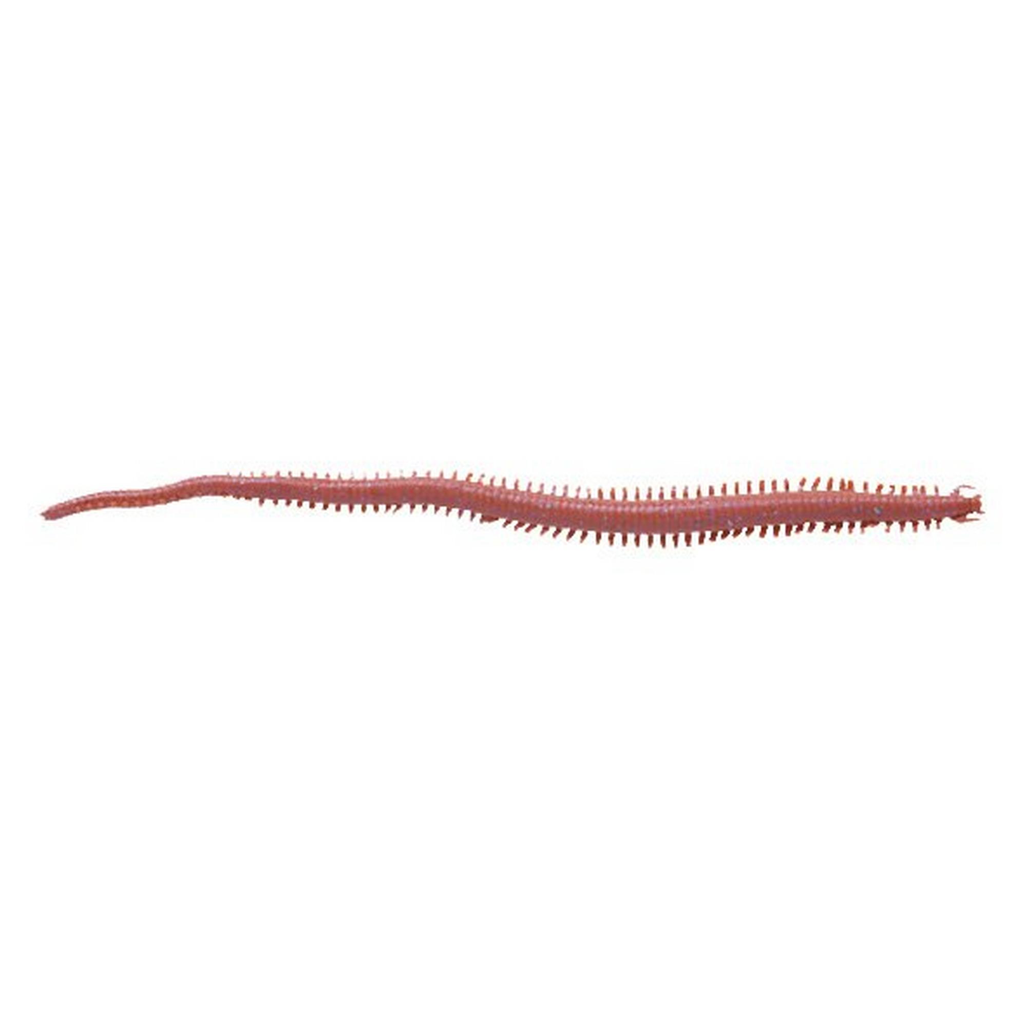 Verme Berkley Gulp! Sandworm 6” (Nereis) col. Dark Brown Verme Berkley Gulp! Sandworm 6” (Nereis) col. Dark Brown