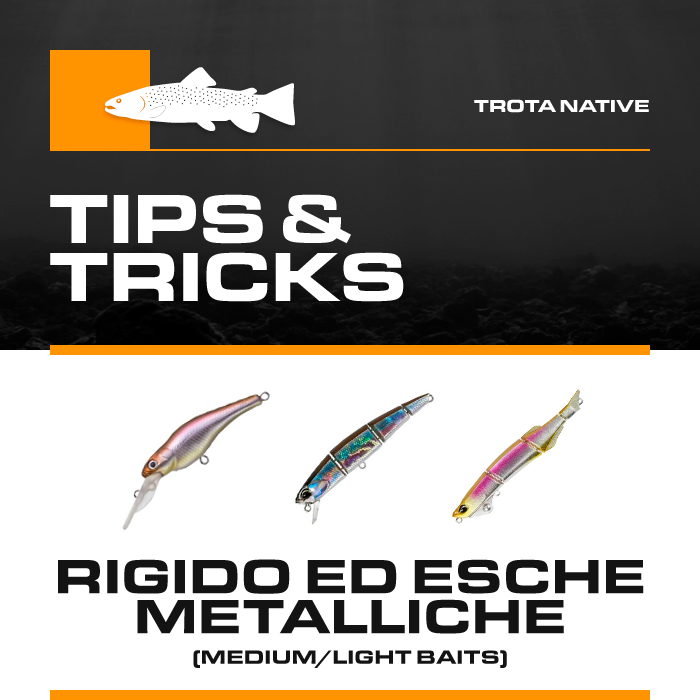 Box Trota Boscolo Sport "Tips & Tricks" Rigido ed Esche Metalliche (Medium/Light Baits)