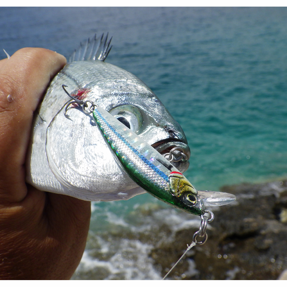 Minnow Savage Gear Gravity Minnow FS 5 cm 8 g