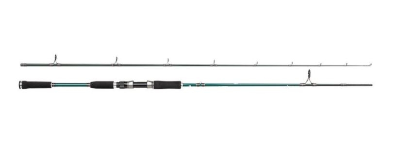 Canna Spinning Abu Garcia Beast X Pike