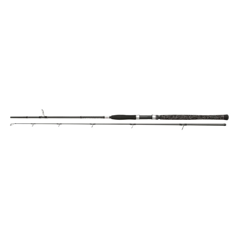 Canna PENN Legion Cat Silver Spin 2.70mt 40-160gr