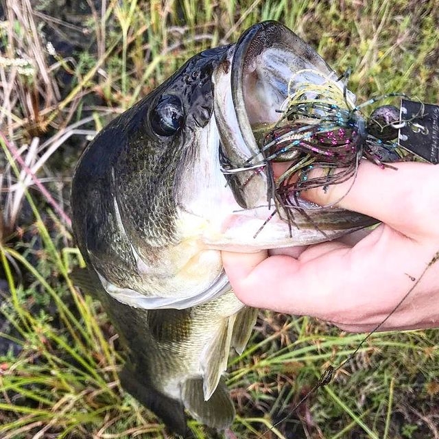 Wirebaits Z-Man Chatterbait Elite 3/8 oz (10 gr)