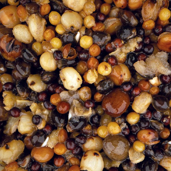 Granaglie Nash Small Seed Mix 500 ml