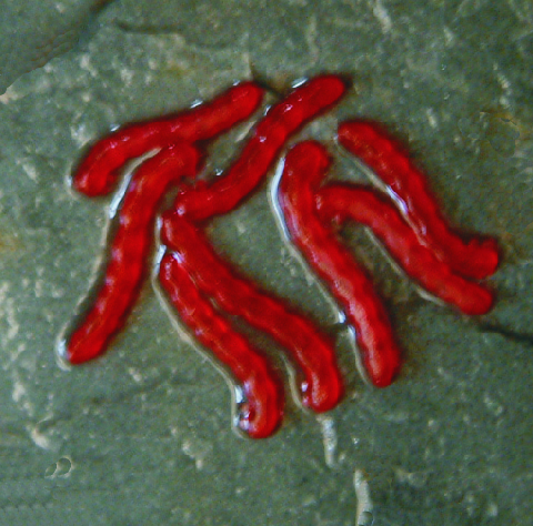 Artificial Blood Worm