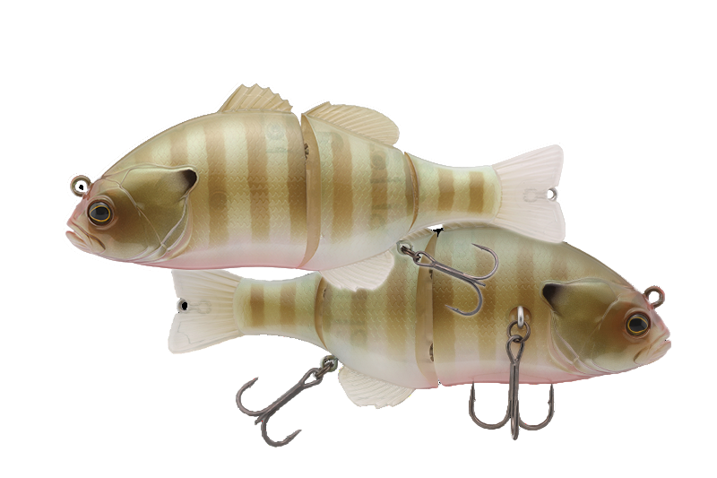 Swimbait Jackall Chibitarel Dead Rise col. Rt Spawn Dr Bluegill Swimbait Jackall Chibitarel Dead Rise col. Rt Spawn Dr Bluegill