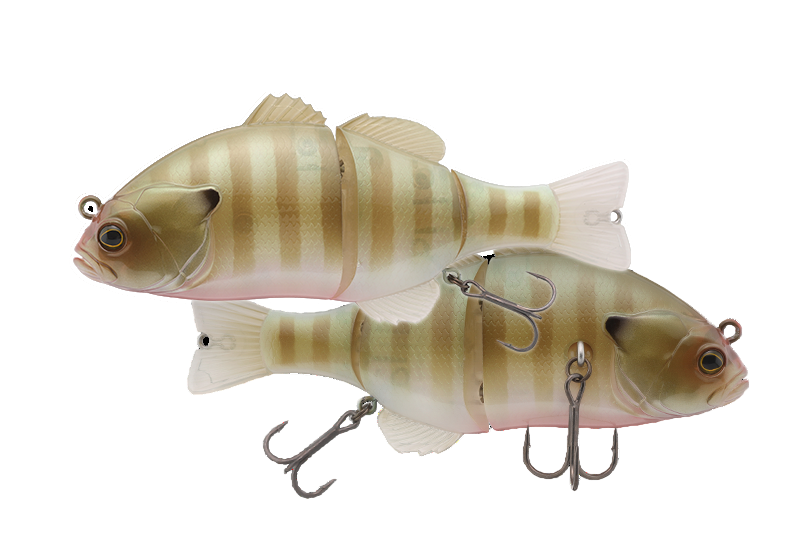 Swimbait Jackall Chibitarel Dead Rise