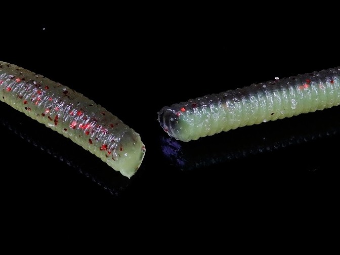 Wacky Worm Jackall Flick Shake 4.8”